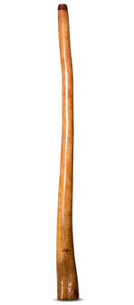 Tristan O'Meara Didgeridoo (TM269) 